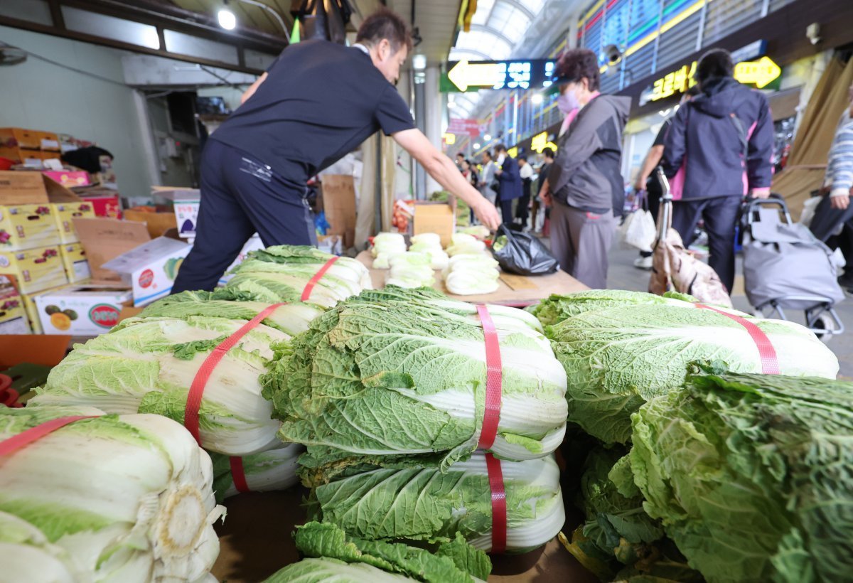 배추 수입과 수요 변화