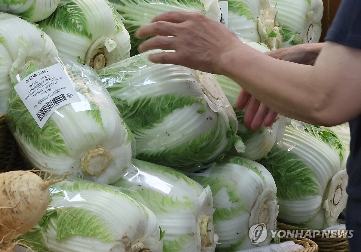 농촌 소멸 대응 및 정책 개발