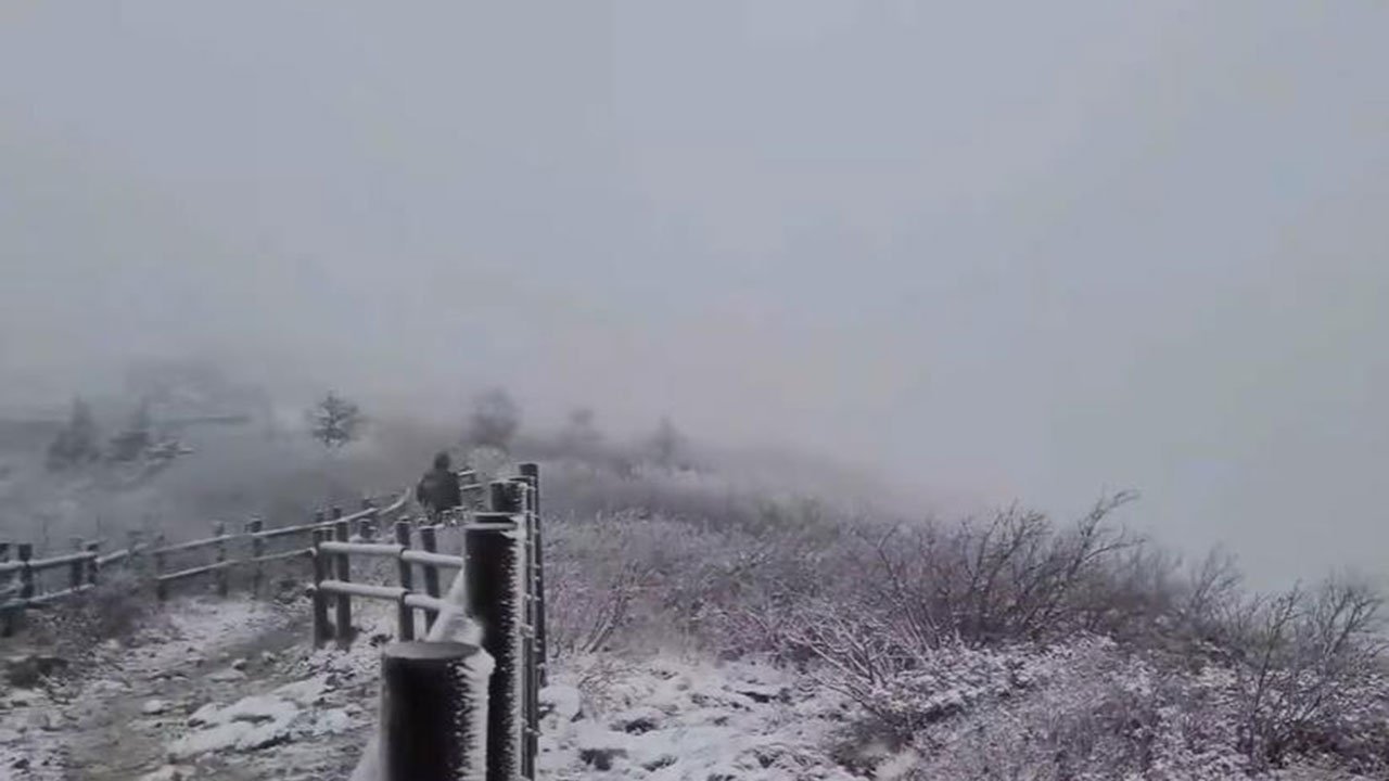 첫눈과 함께 시작된 겨울의 서사