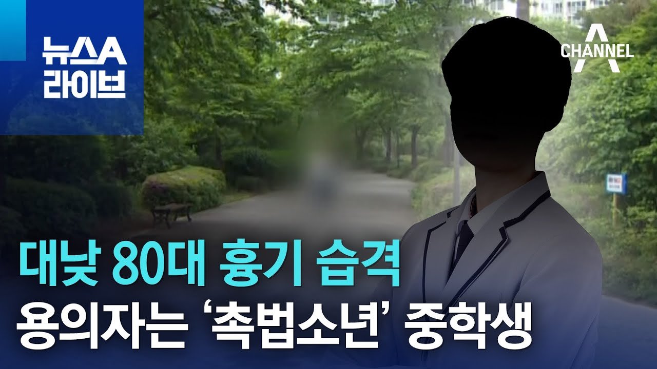 법적 대응과 아동복지법의 한계