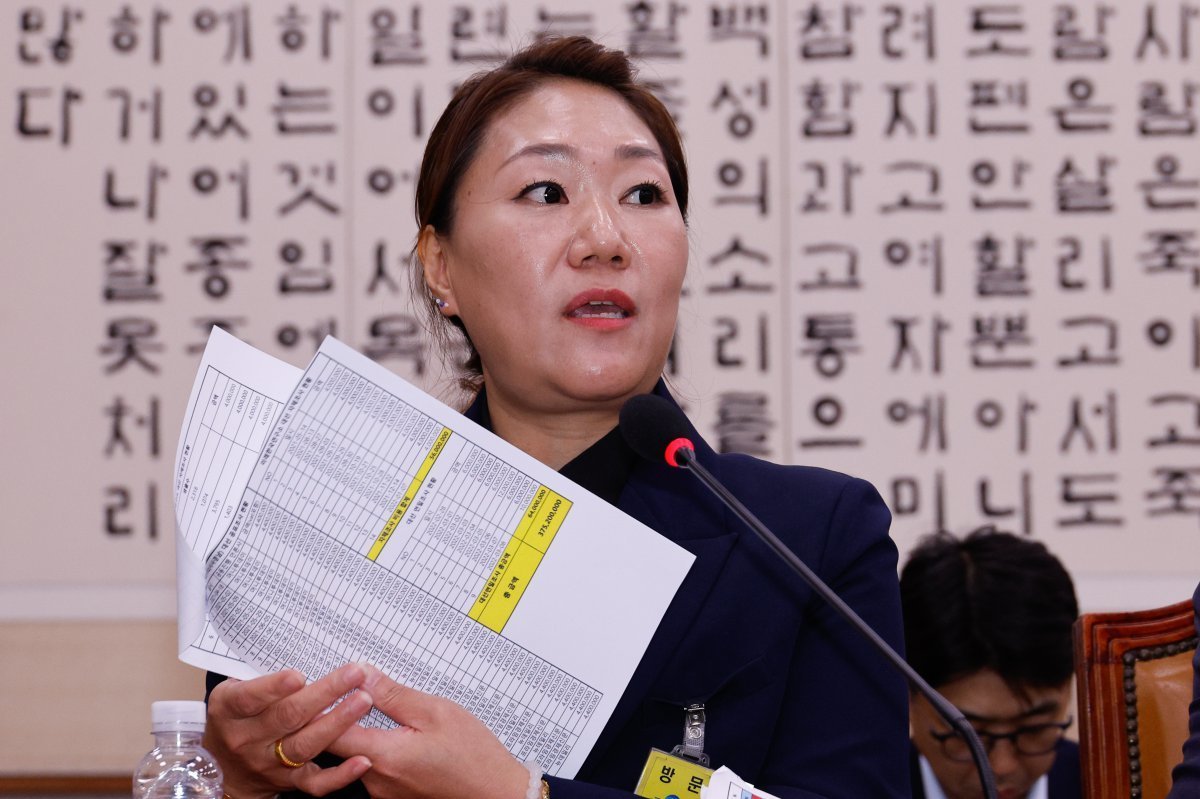 강혜경 씨의 폭로와 그 파장