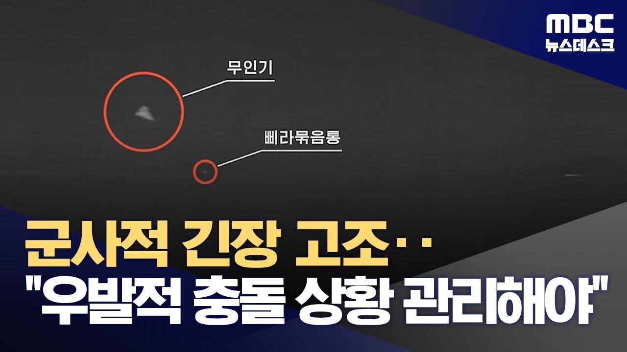 전문가들의 분석과 평론