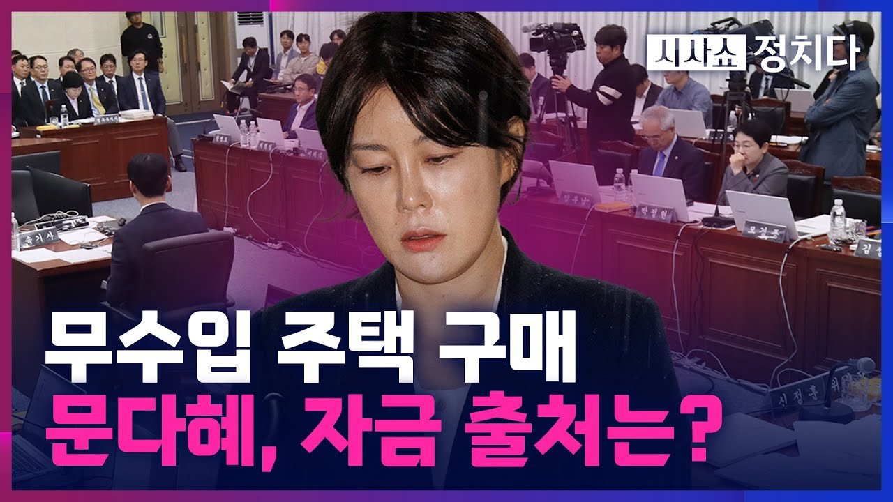 문다혜의 갭투자, 그 이면