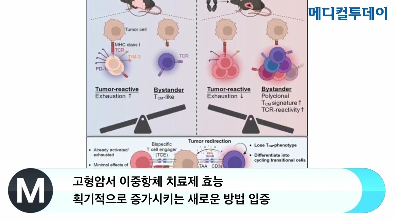 MO-2097, 뽕나무에서 찾은 희망