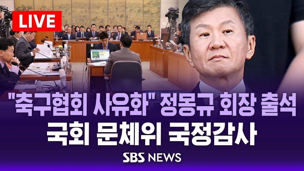 홍명보 감독 선임 과정에 대한 논란