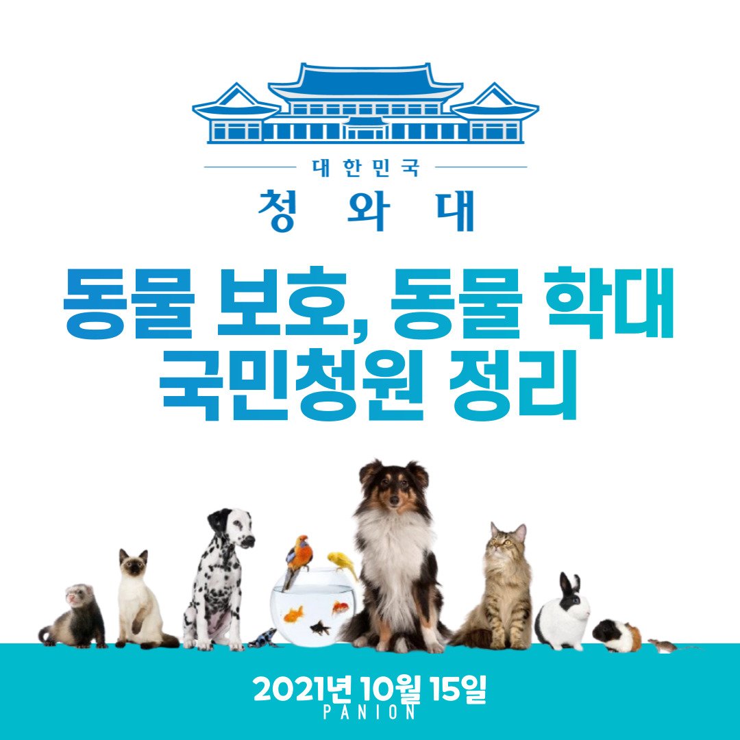 길고양이를 학대한 사건의 전말