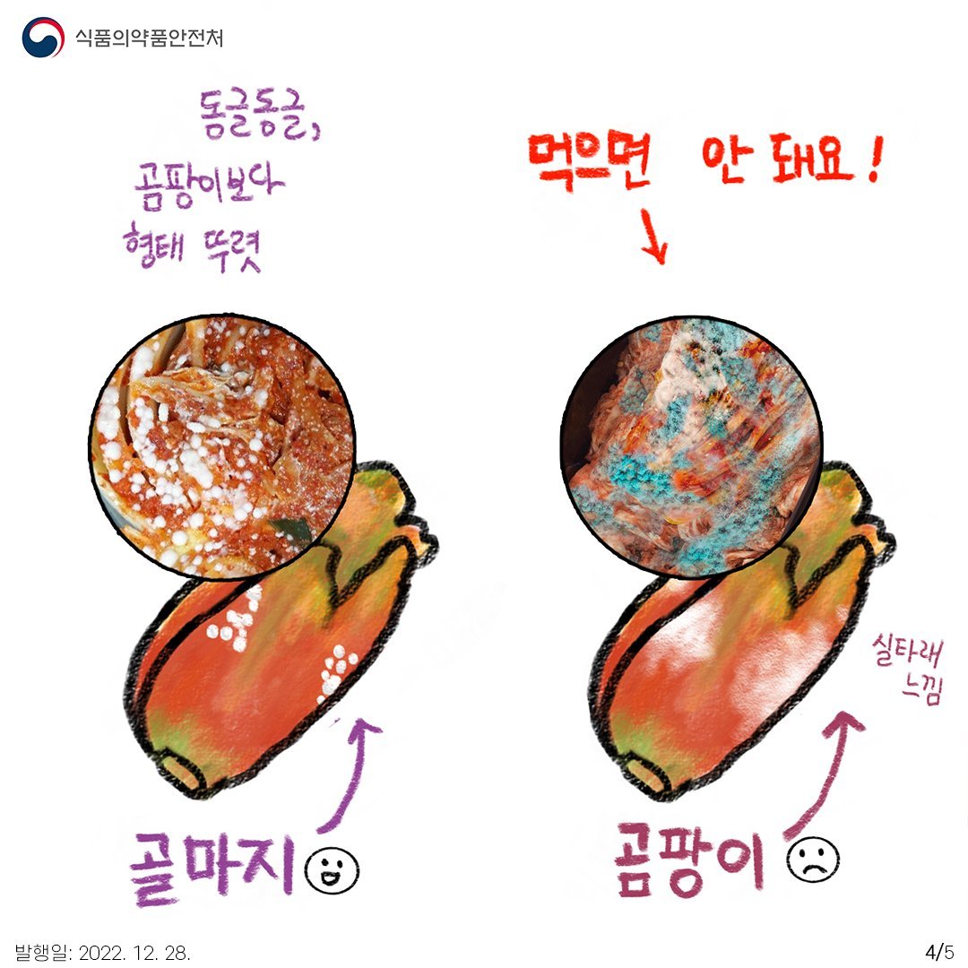 하얀 막을 이해하기 위한 기본 정보