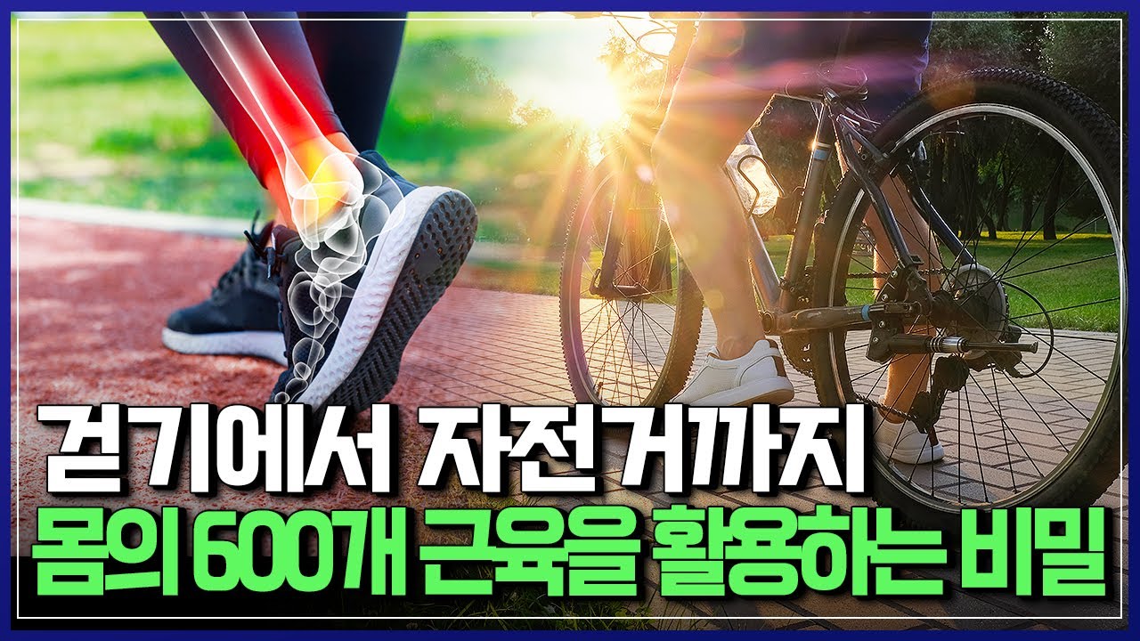 비만과 재활 프로그램에의 적용 가능성