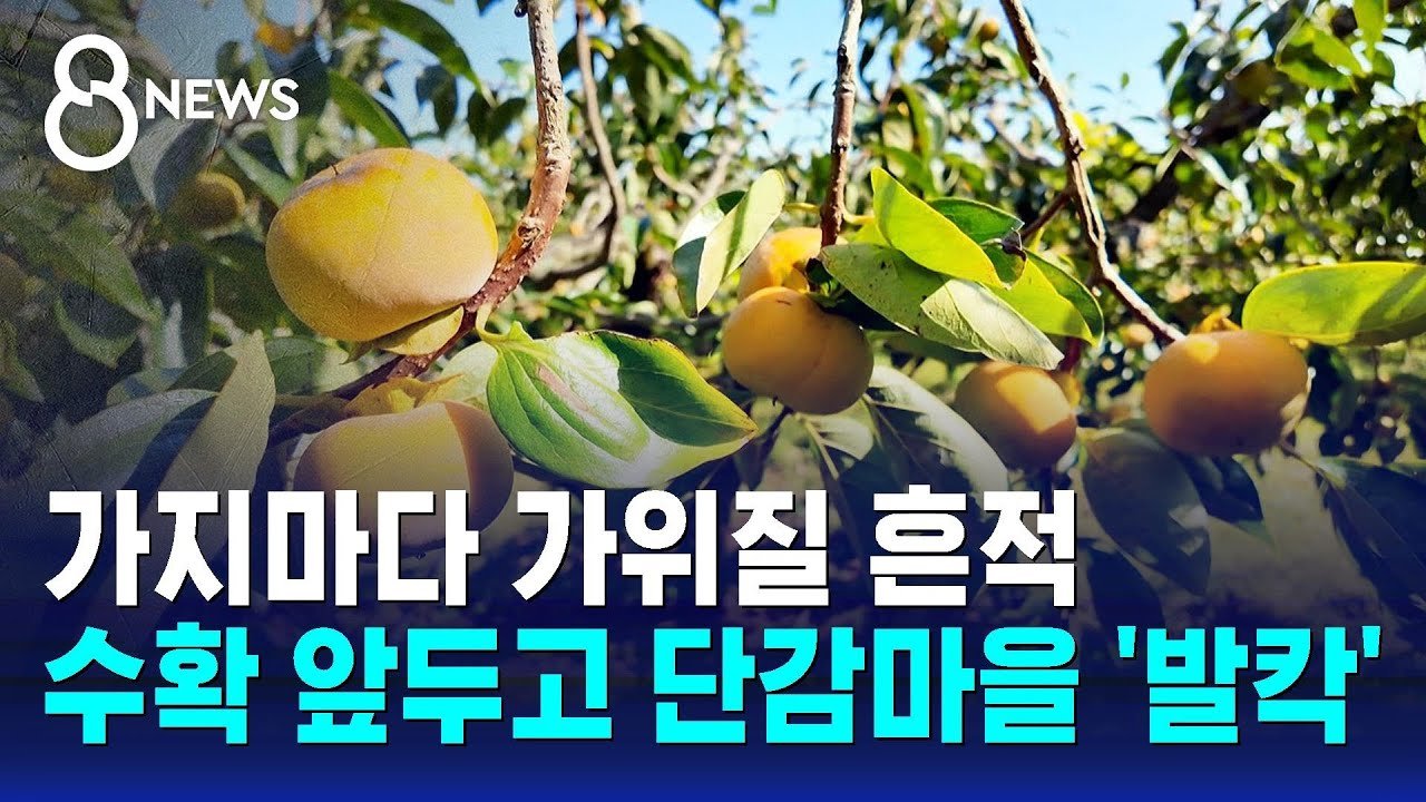 한순간에 무너진 농민의 꿈