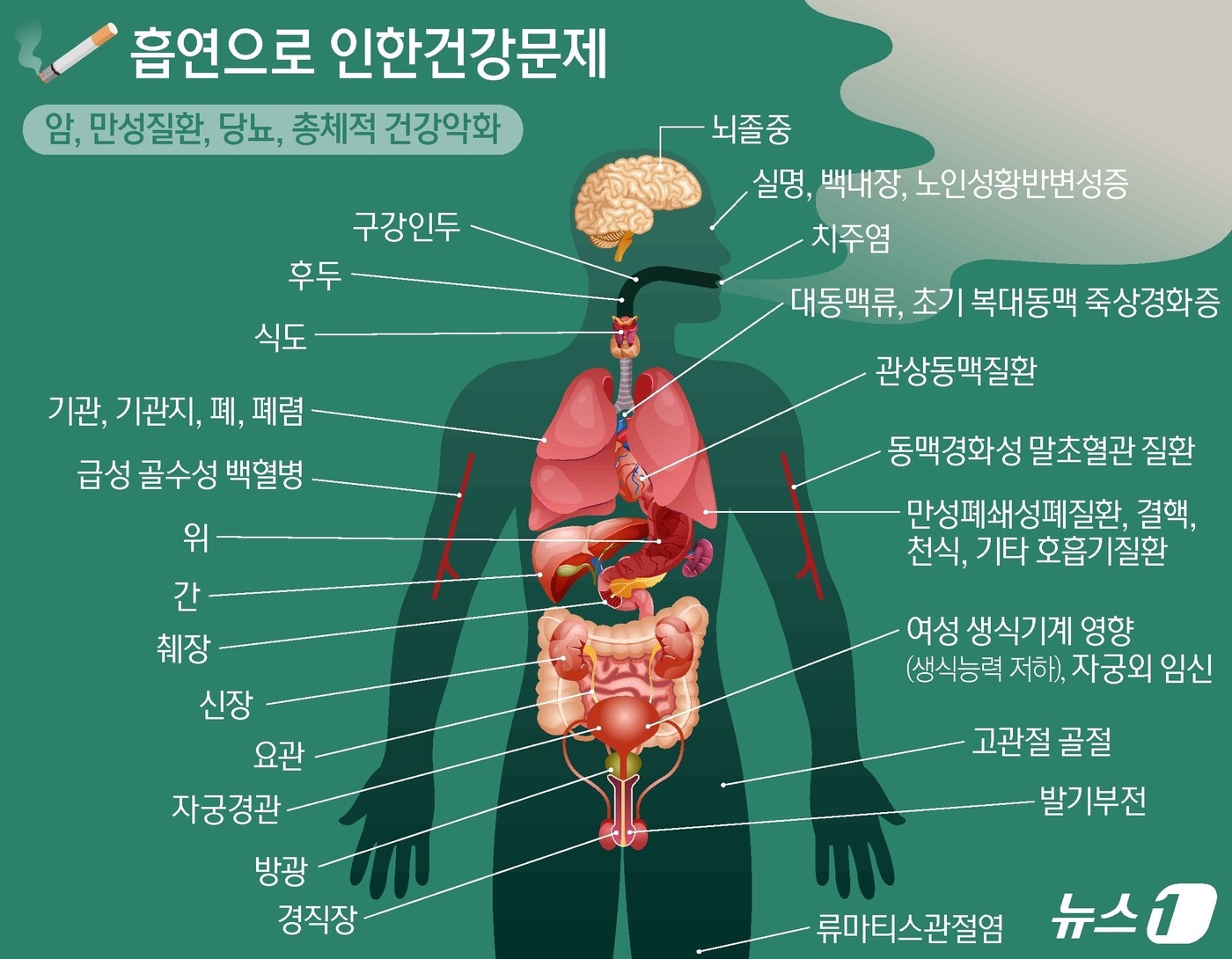 법적 대응의 필요성과 시민의 역할