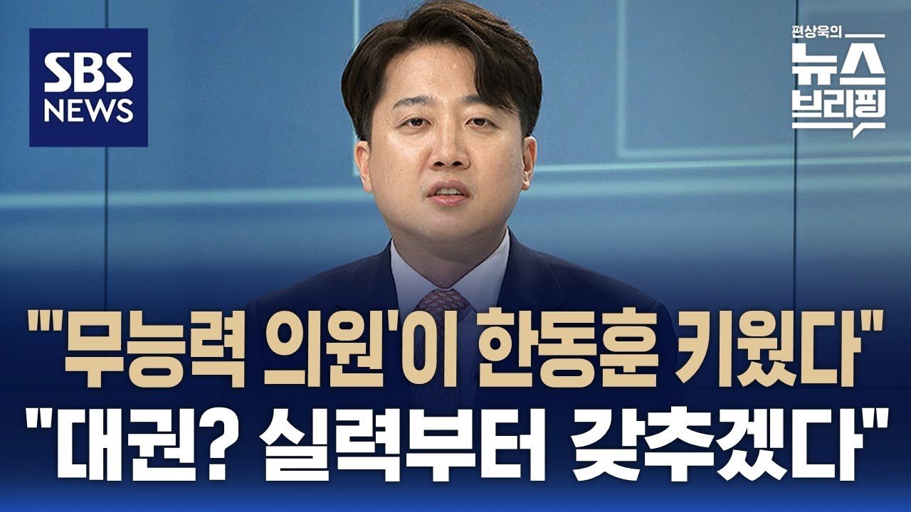 패전의 역사, 정치적 책임