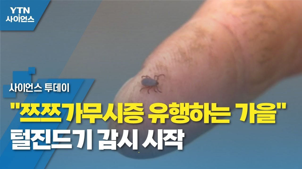 안전한 야외 활동을 위한 예방 수칙