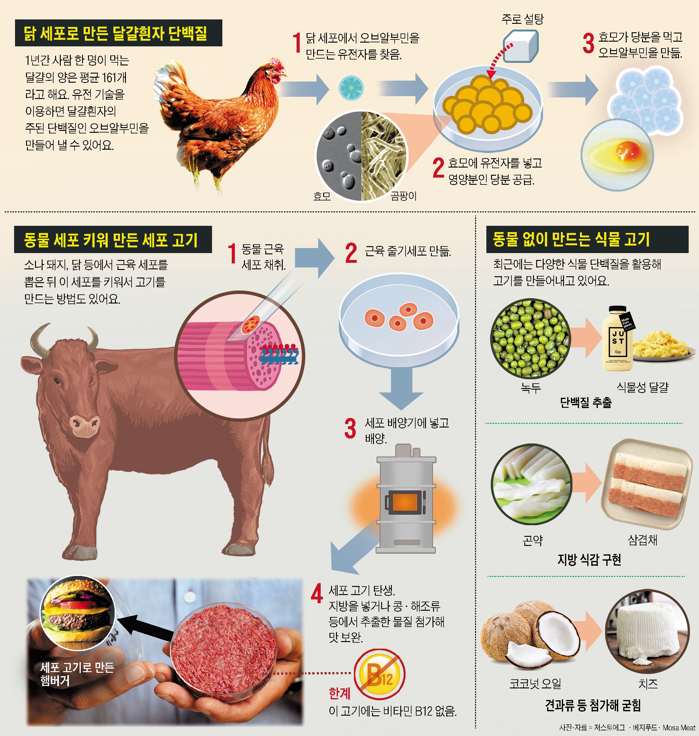 긍정적인 전망과 예상되는 사업 규모