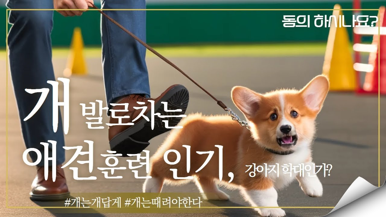 문제의 본질, 훈련법의 윤리적 고찰