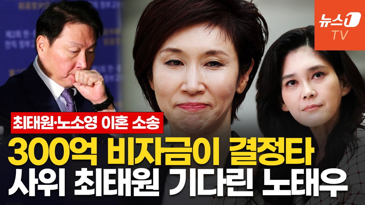 대법원의 심리불속행 기각 논란