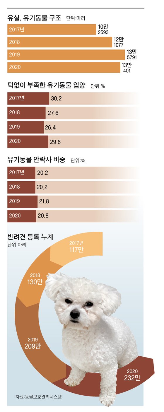 위험한 사고, 늘어나는 통계들