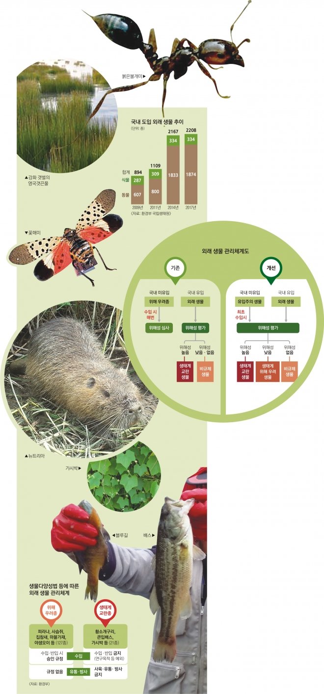외래종 문제에 대한 우리의 성찰