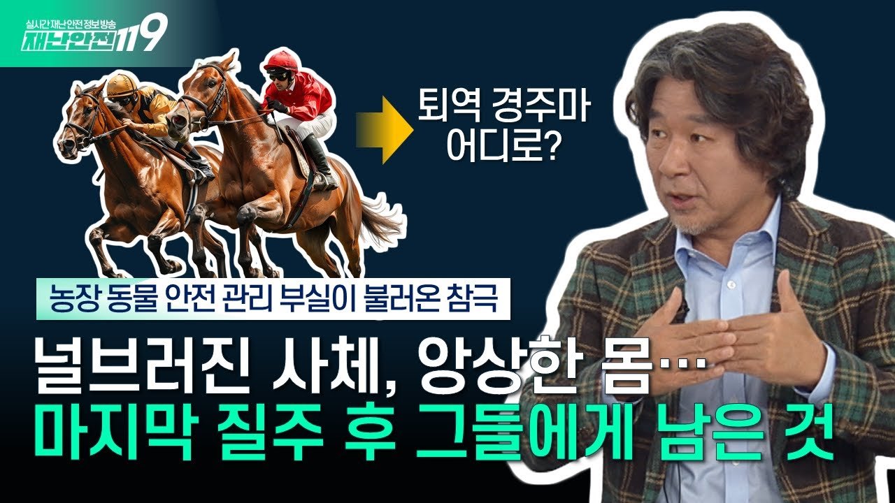 제정신을 잃은 말 보호 시스템