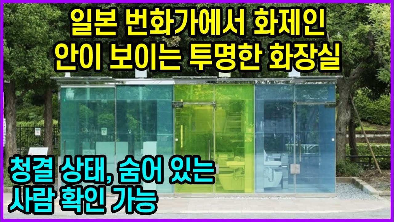 인도 인플루언서의 파격 도전