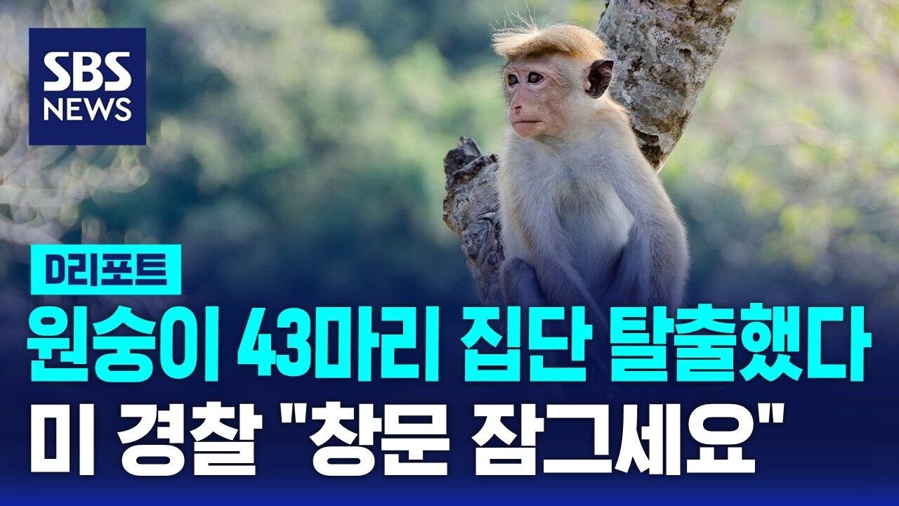 연구소의 대응과 노력