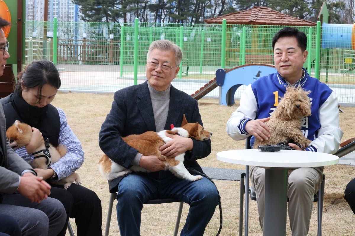 반려와 정치, 그 복잡한 관계