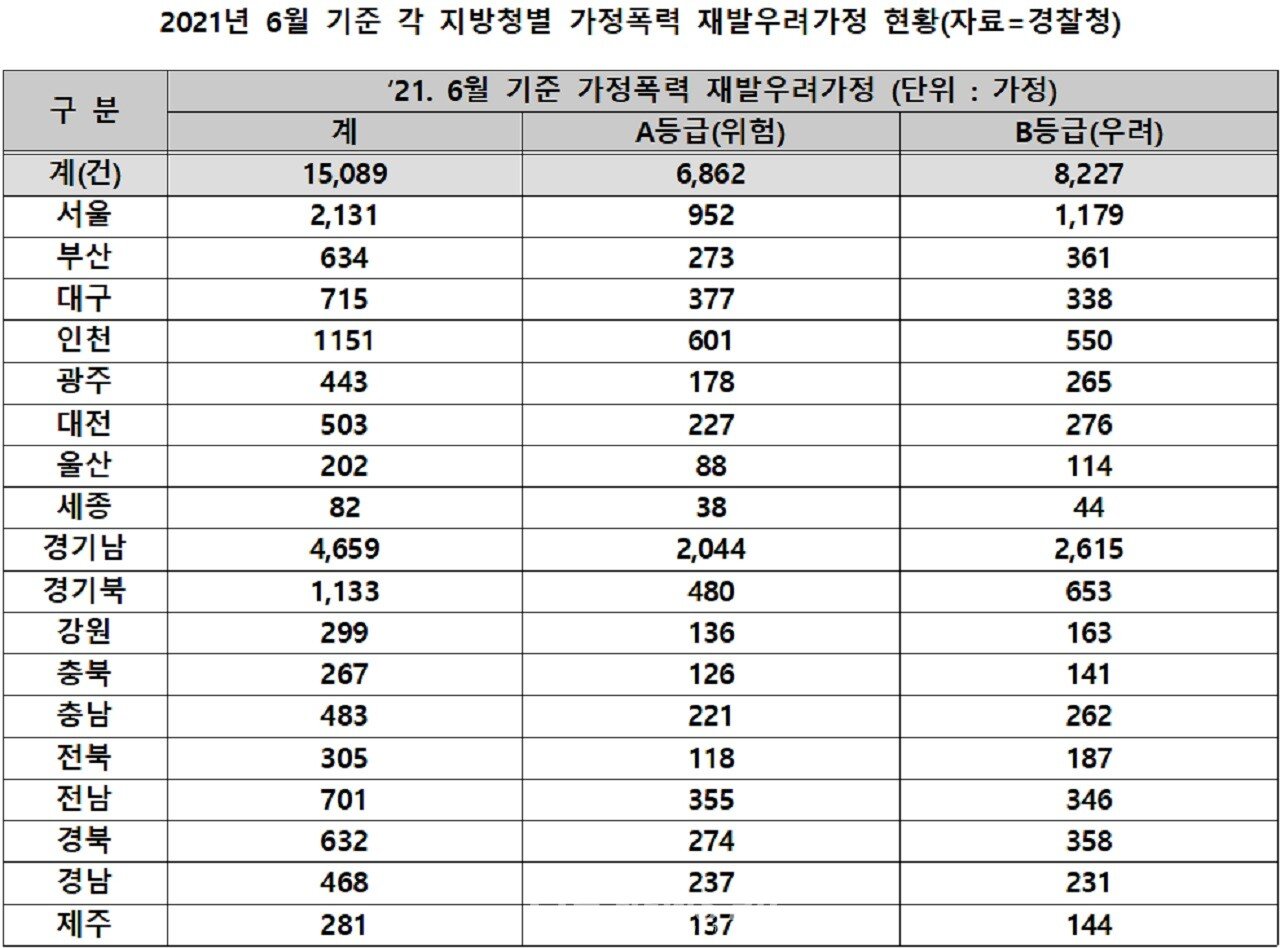 가정 폭력의 그림자