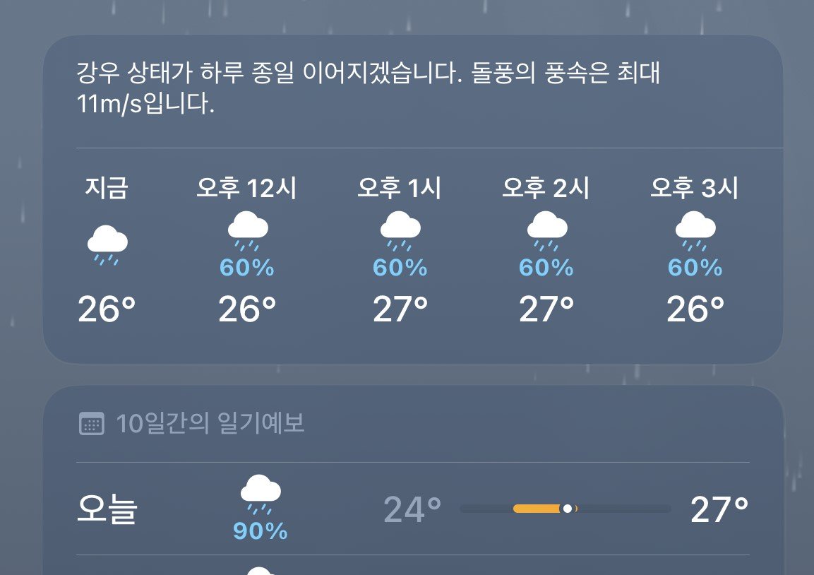 안전 운행을 위한 교통 주의사항