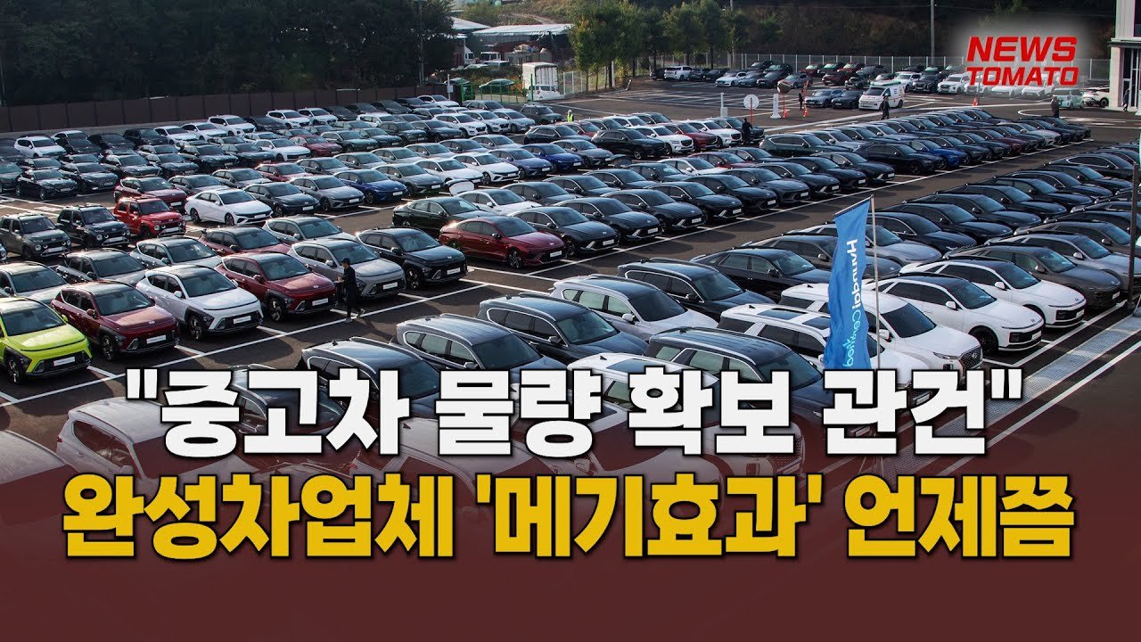 메기 효과와 자동차 산업의 발전