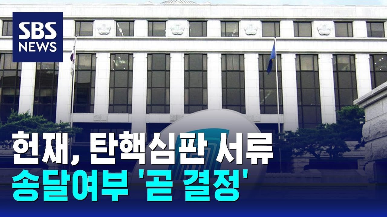 향후 헌법재판소의 결론에 대한 기대와 우려