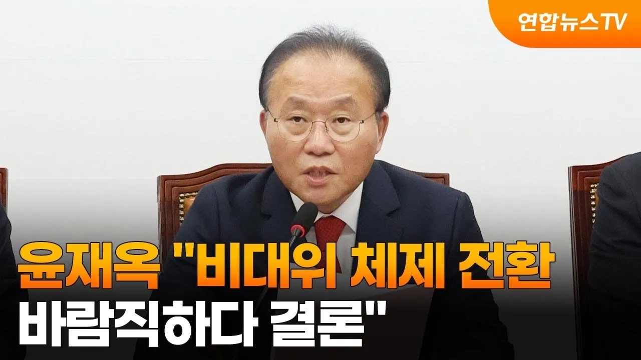 비대위원회의 잦은 변화와 그 영향