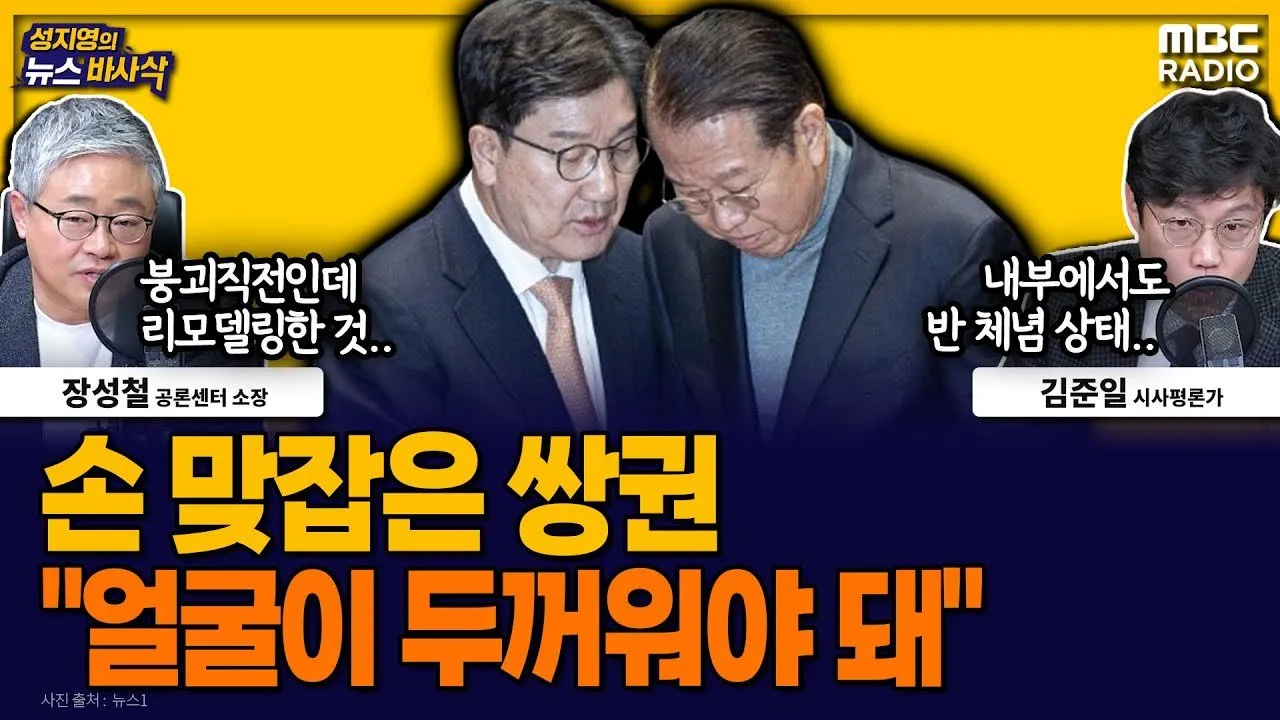 권영세 비대위원장의 출범 배경