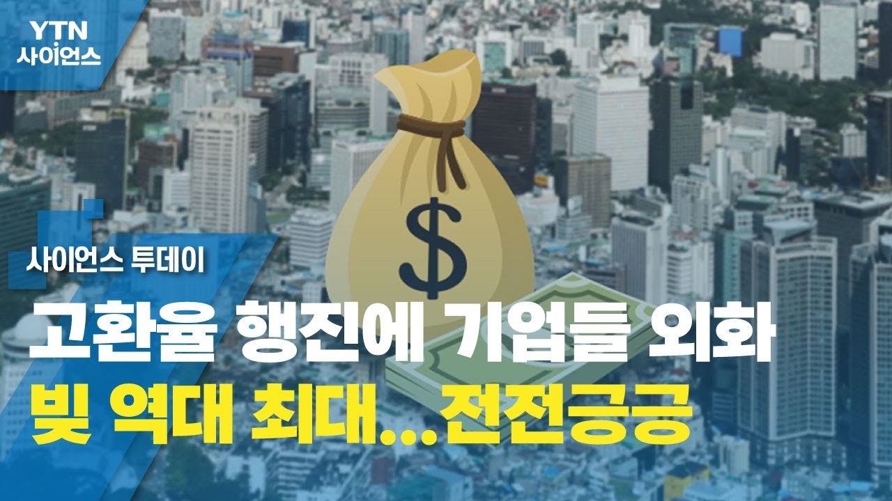 기업과 은행의 외화 부채 증가