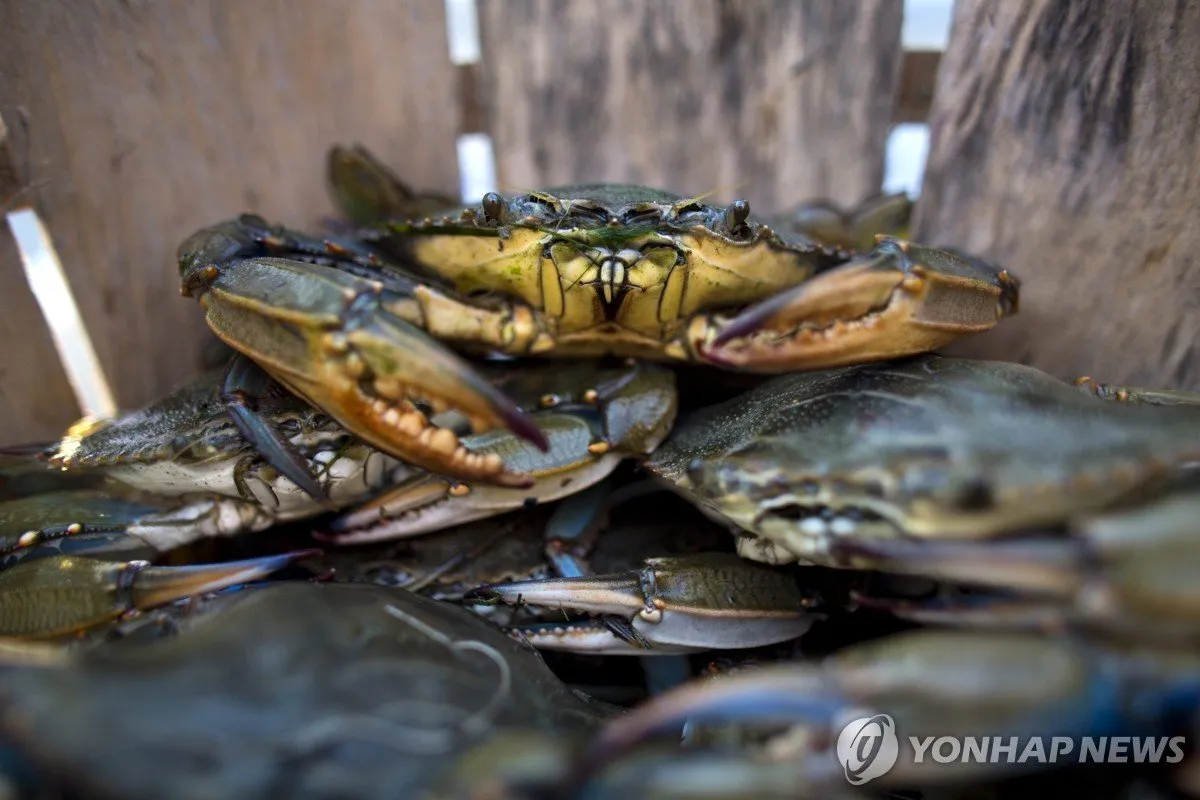 요리사의 창의적 해결책