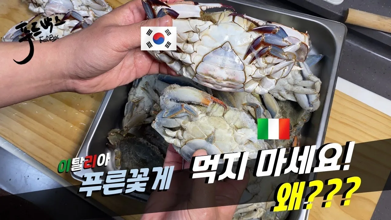 전통과 혁신이 만나는 순간