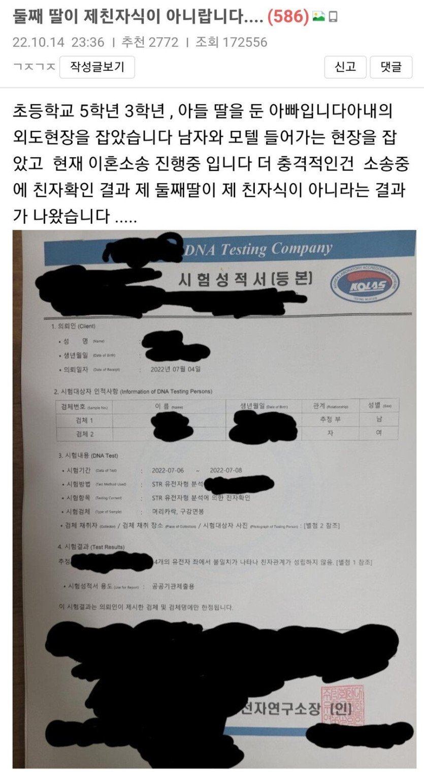 학교측의 대응과 조사