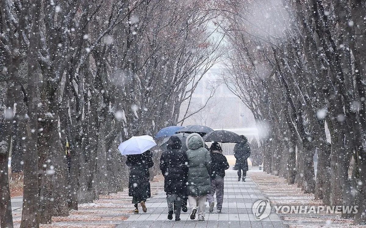 뚝 떨어진 기온에 맞서 싸운 서울