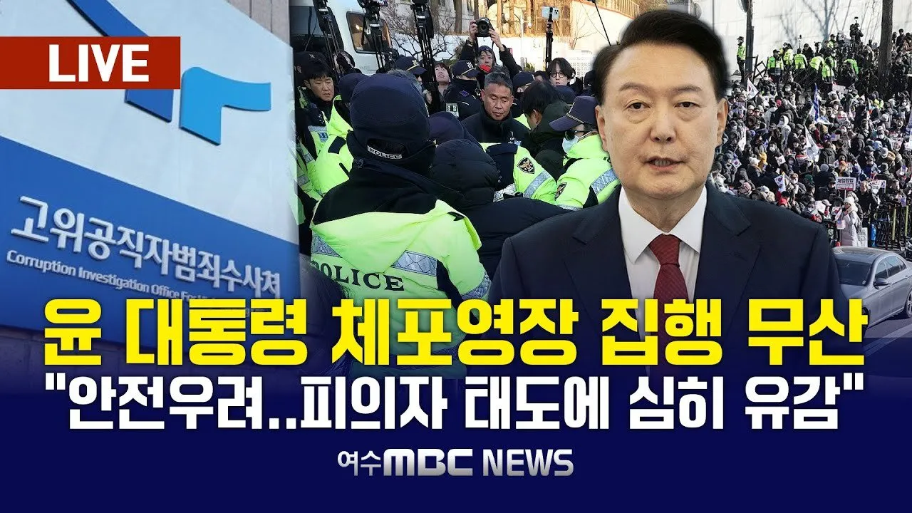 법원의 판단과 정치적 상황